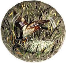 Rambouillet Dinner Plate Duck