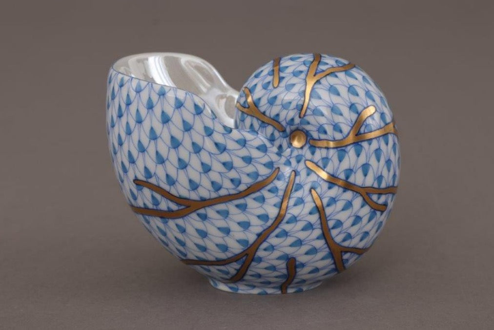 Small Nautilus Shell
