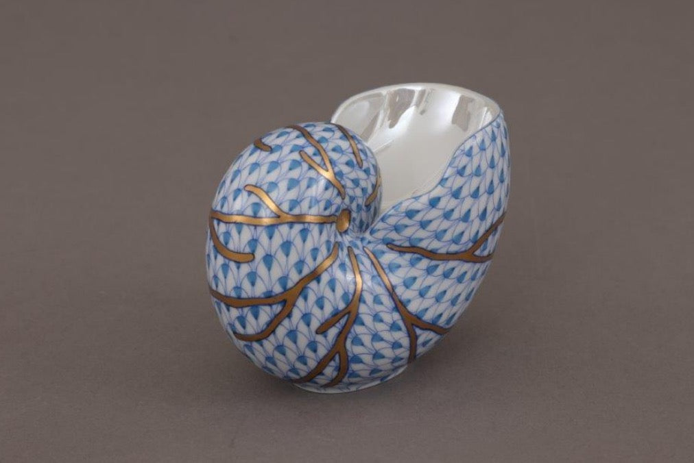 Small Nautilus Shell