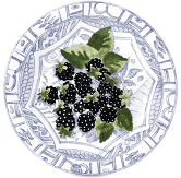 Oiseau Bleu Fruits Dessert Blackberry