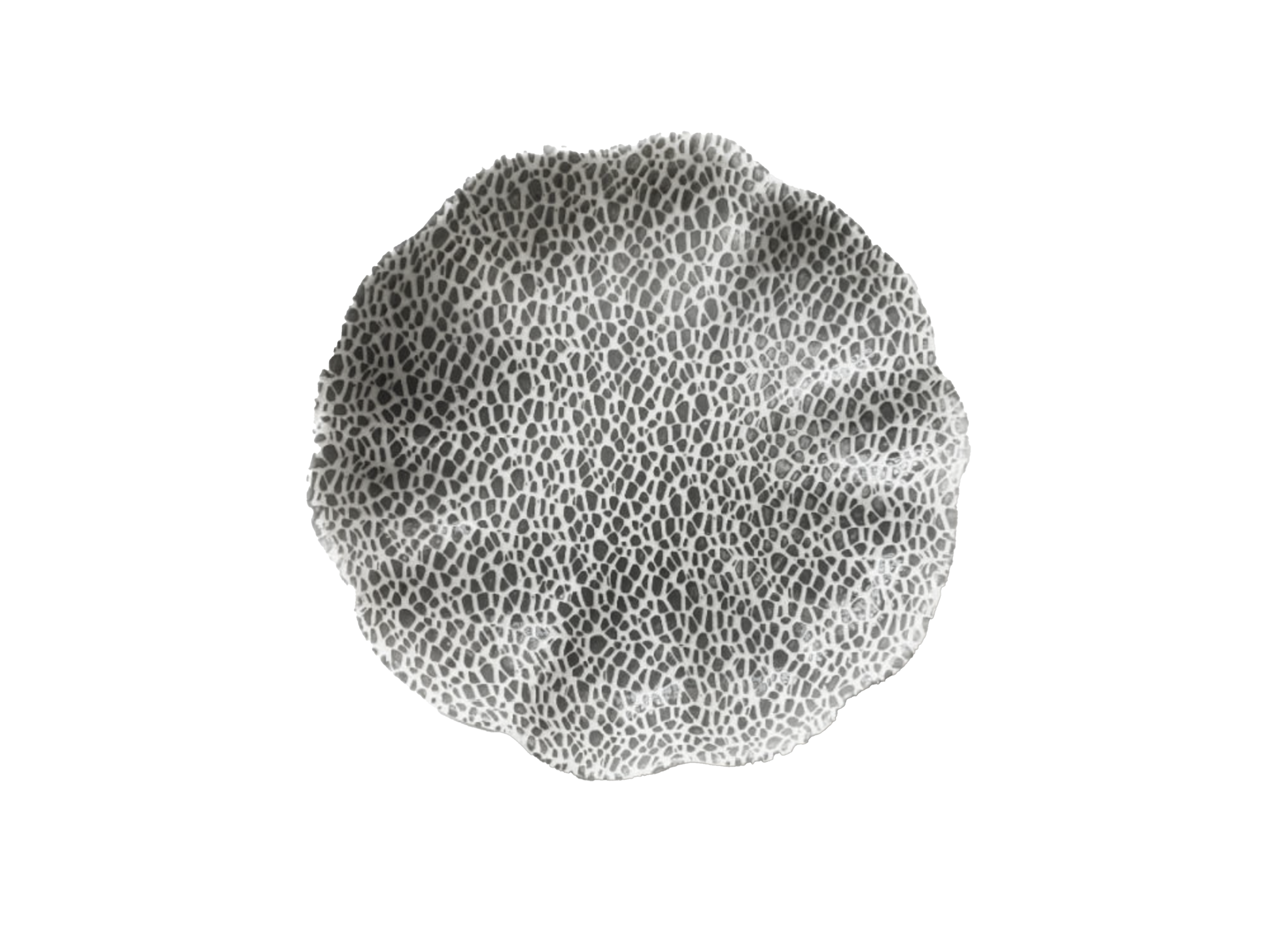 Black Large Scallop Bowl