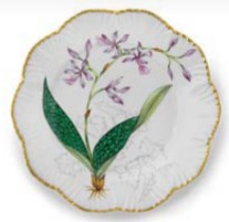 Jardin Orchidees Dinner - Set of 6