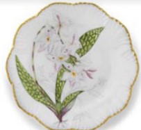 Jardin Orchidees Dinner - Set of 6