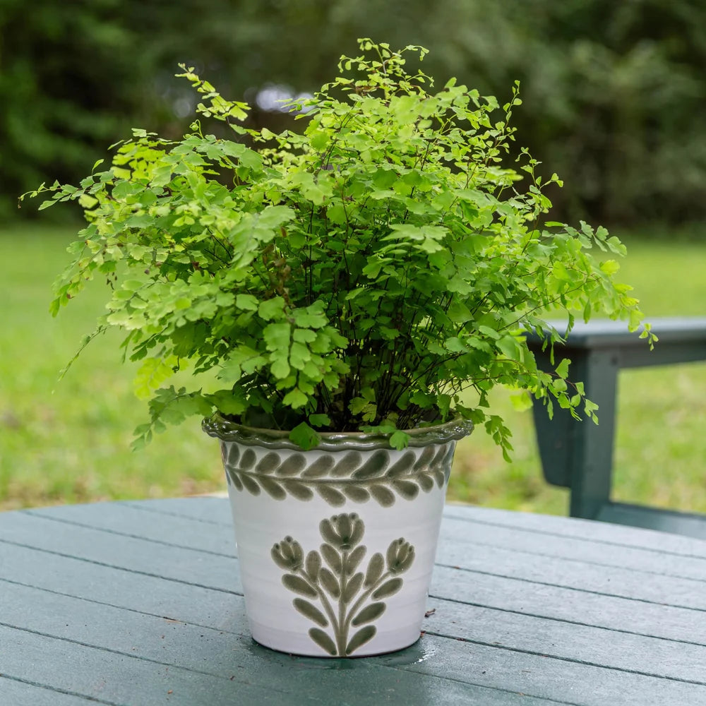 Small Thumbprint Pot
