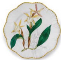 Jardin Orchidees Dinner - Set of 6