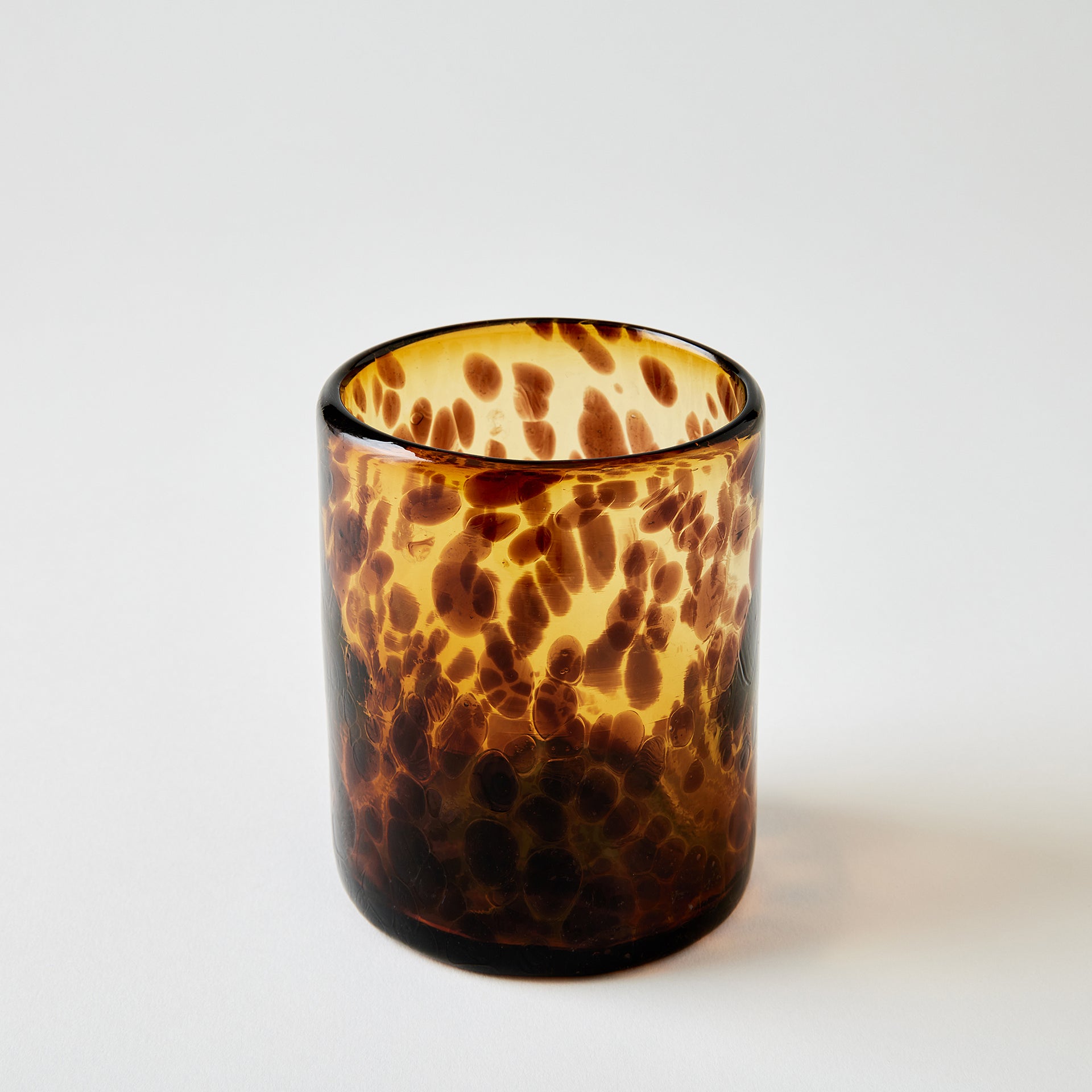 Tortoise Rocks Glass
