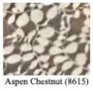 Chestnut Large Scallop Bowl