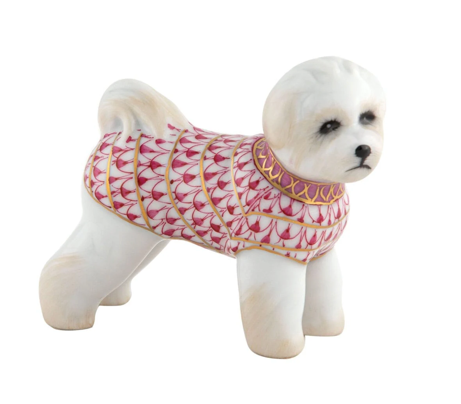 Bichon Frise