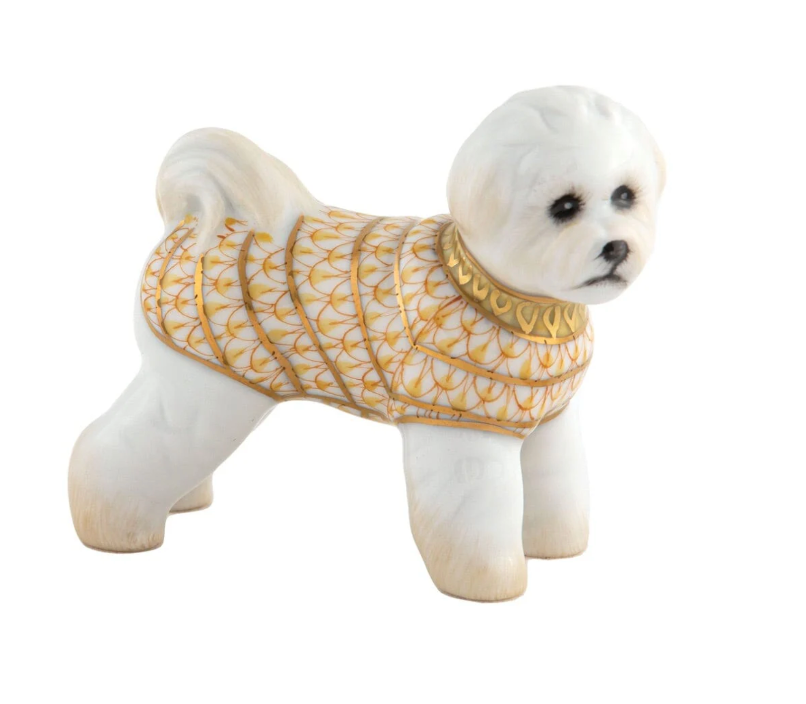 Bichon Frise