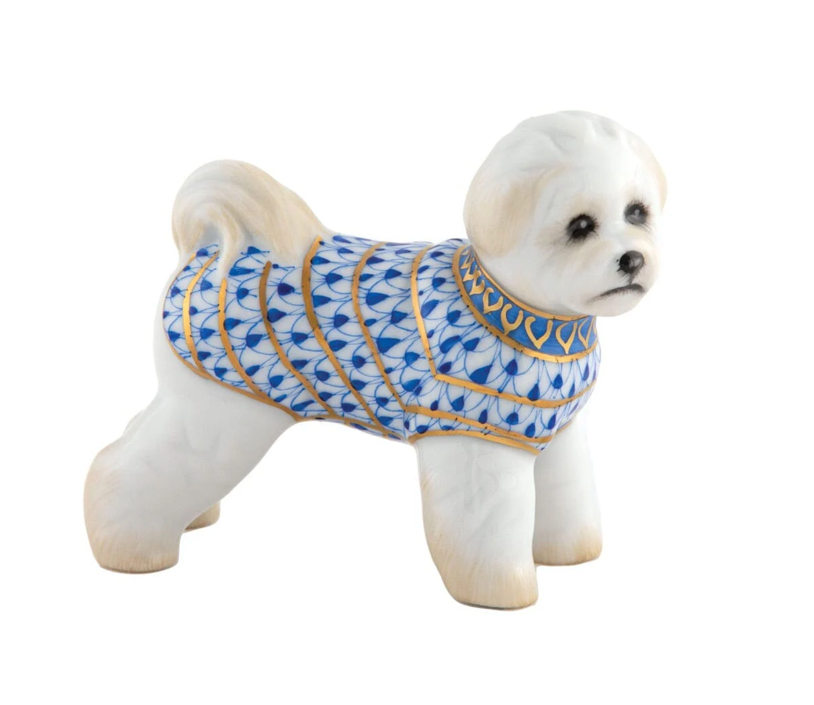 Bichon Frise