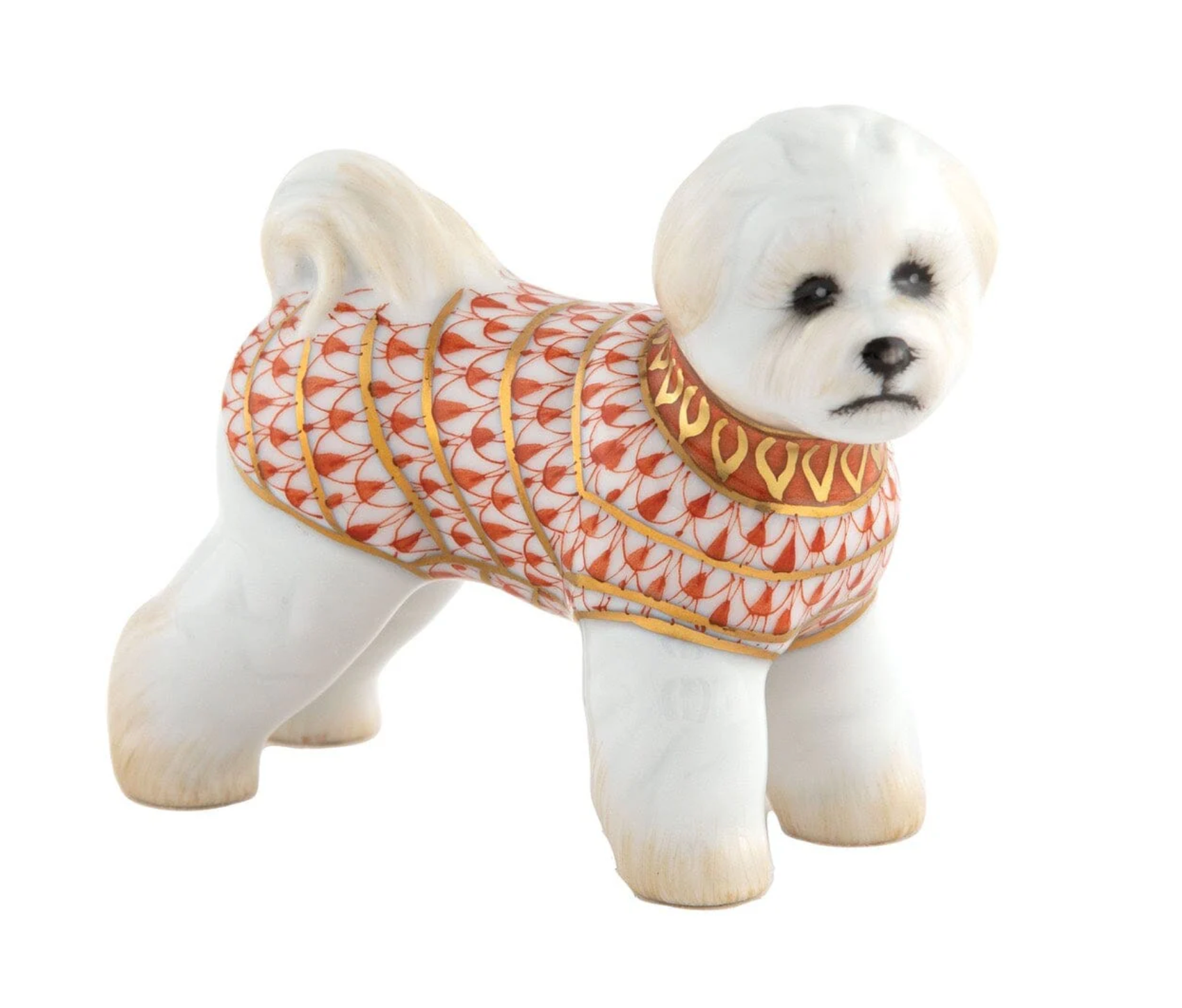 Bichon Frise