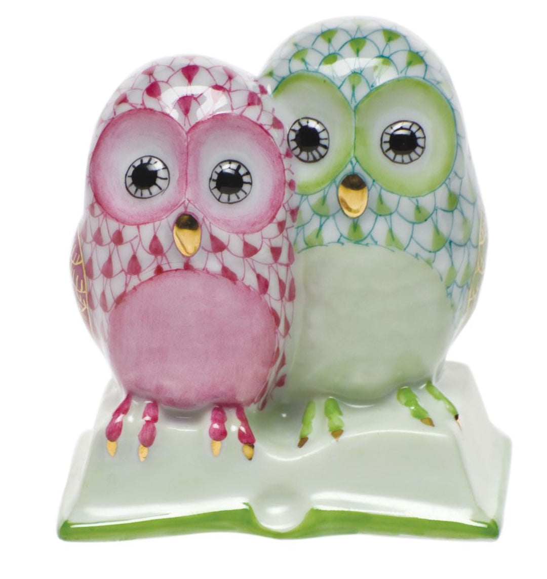 Pair Of Owls On Book