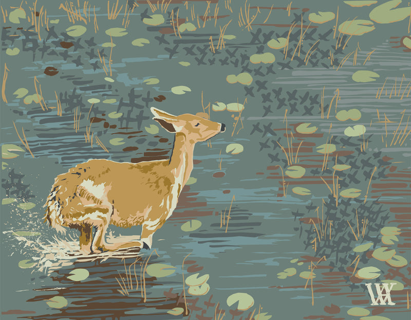 Lily Pad Doe Framed Print