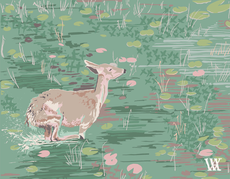 Lily Pad Doe Framed Print