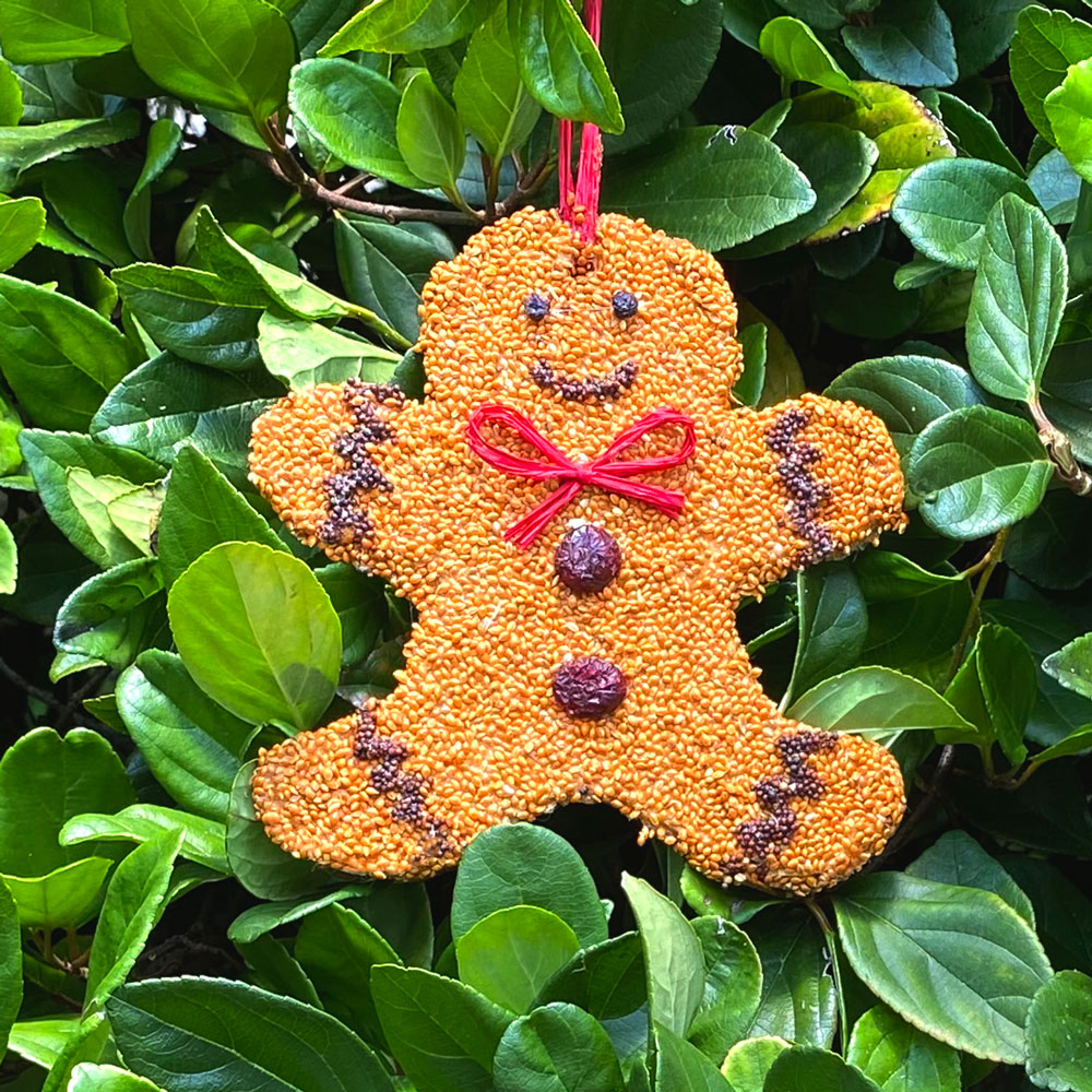 Birdseed Gingerbread Man Christmas Cookie