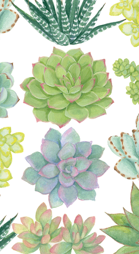 succulent towel Succulents Paper Guest Towels