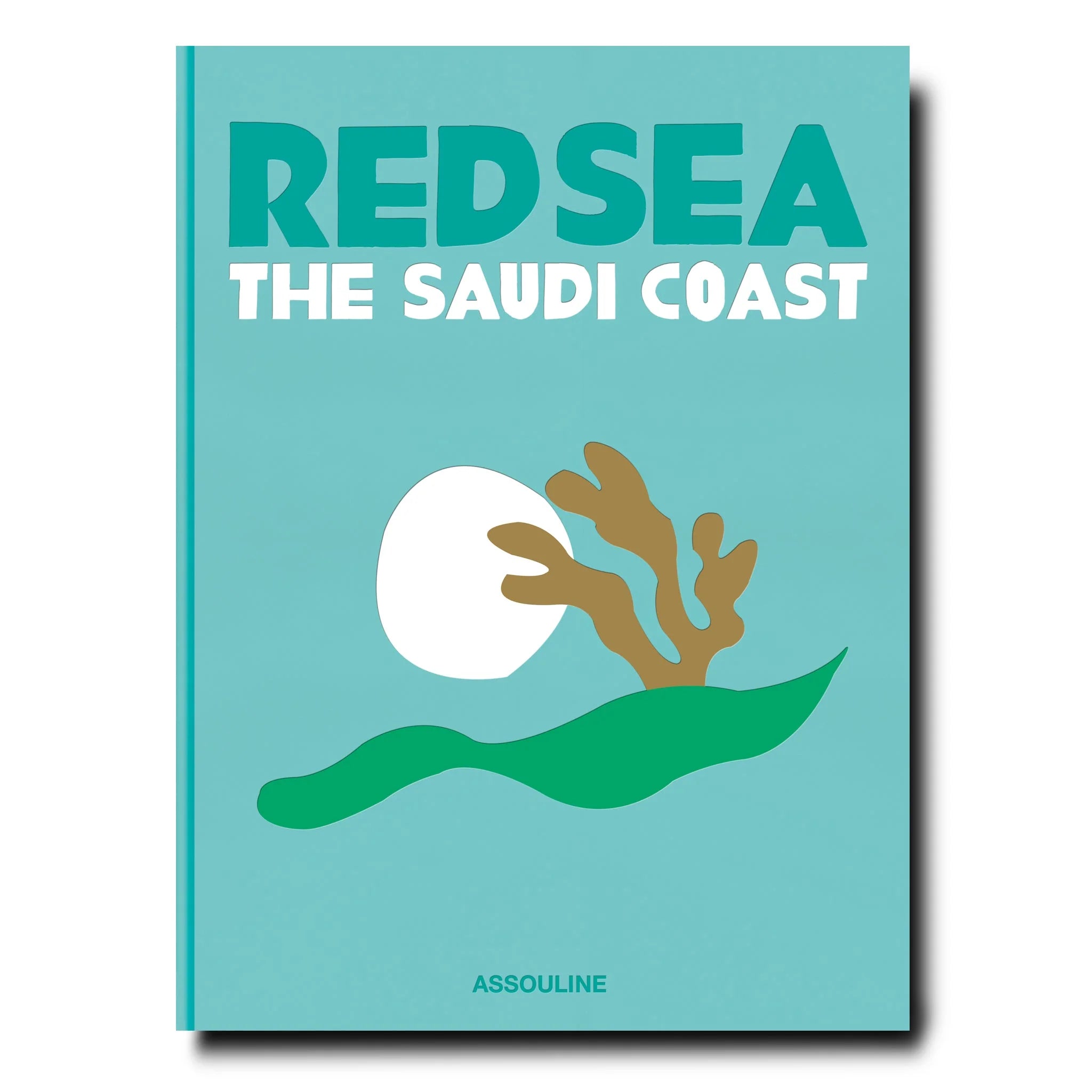 Red Sea Saudi Coast