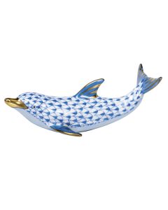 Playful Dolphin