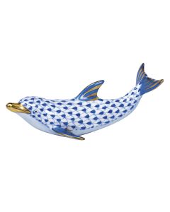 Playful Dolphin