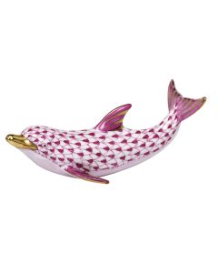 Playful Dolphin