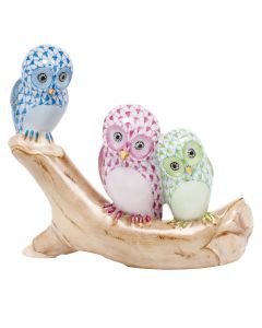 Owls On Branch