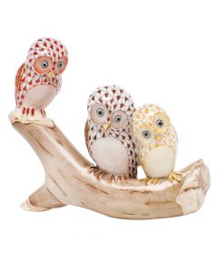 Owls On Branch