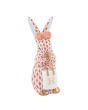 Shopping Bunny