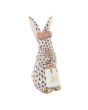 Shopping Bunny
