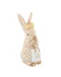 Shopping Bunny