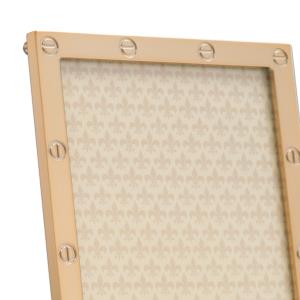 Polished Gold Metal Frame Screw Design