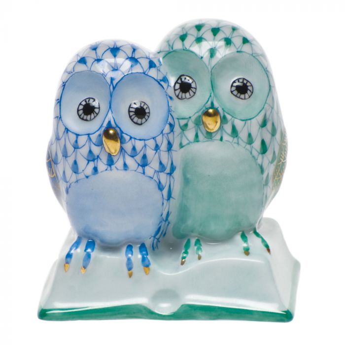 Pair Of Owls On Book