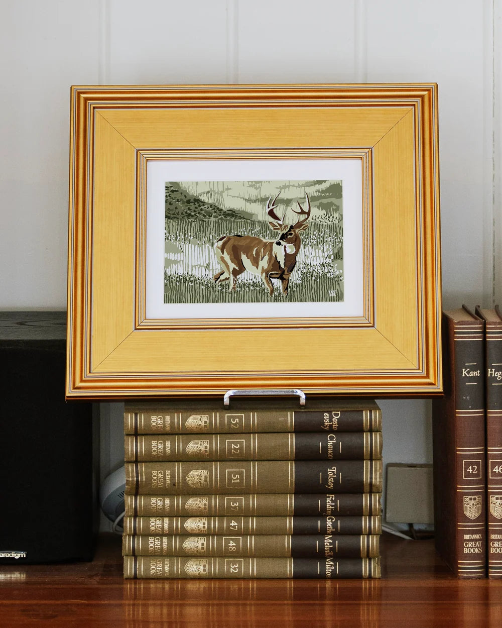 Still Buck Framed Print
