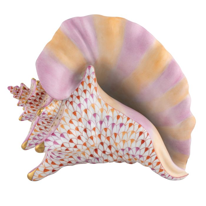 Conch Shell