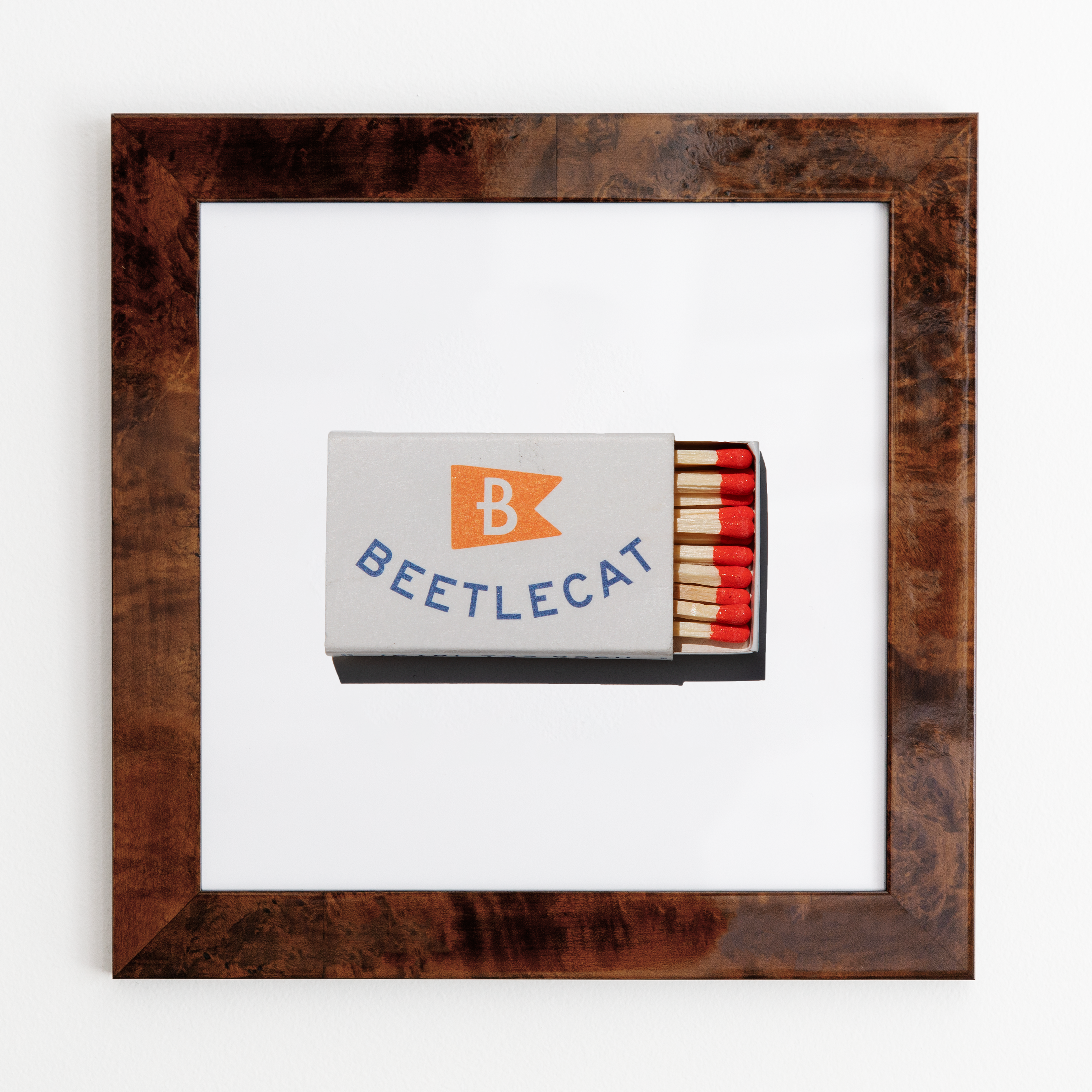 Beetlecat