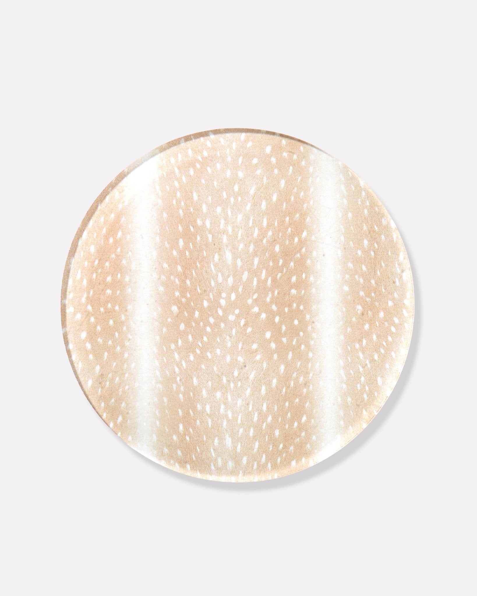 Fawn Coasters - Thumbnail 5