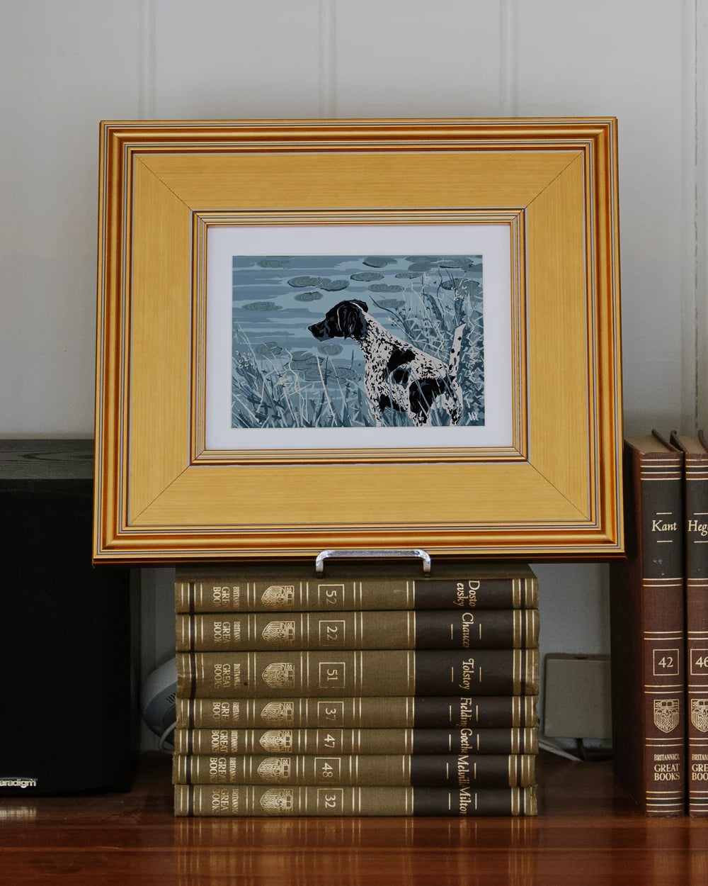 German Shorthair at Pond Framed Print