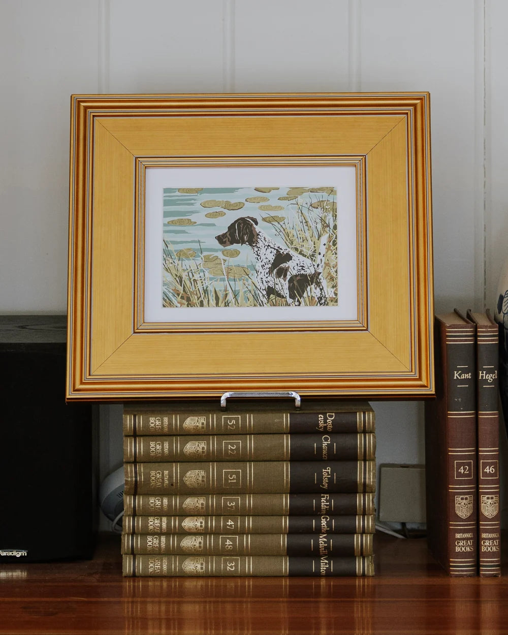 German Shorthair at Pond Framed Print
