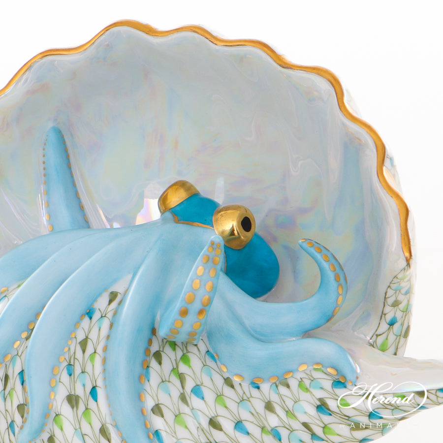 Octopus in Shell