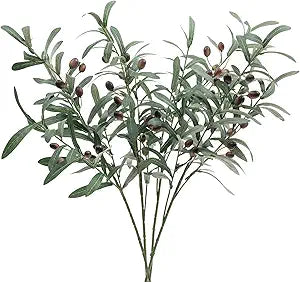 Olive Leaf