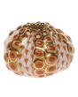 Sea Urchin 1.5"h X 1.75"d