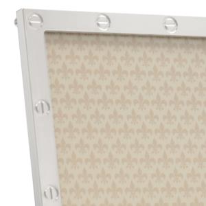 Polished Silver Metal Frame Screw Design