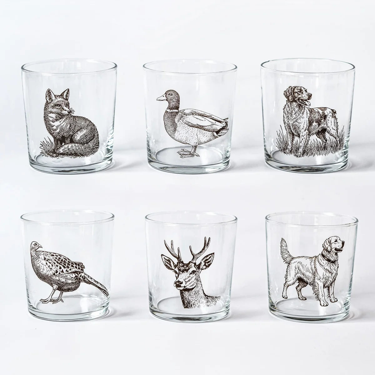 Wildlife Assorted Tumblers - Set of 6