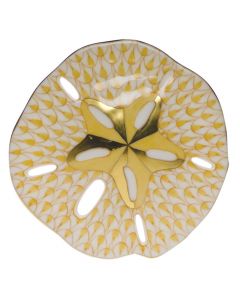 Sand Dollar 3"d