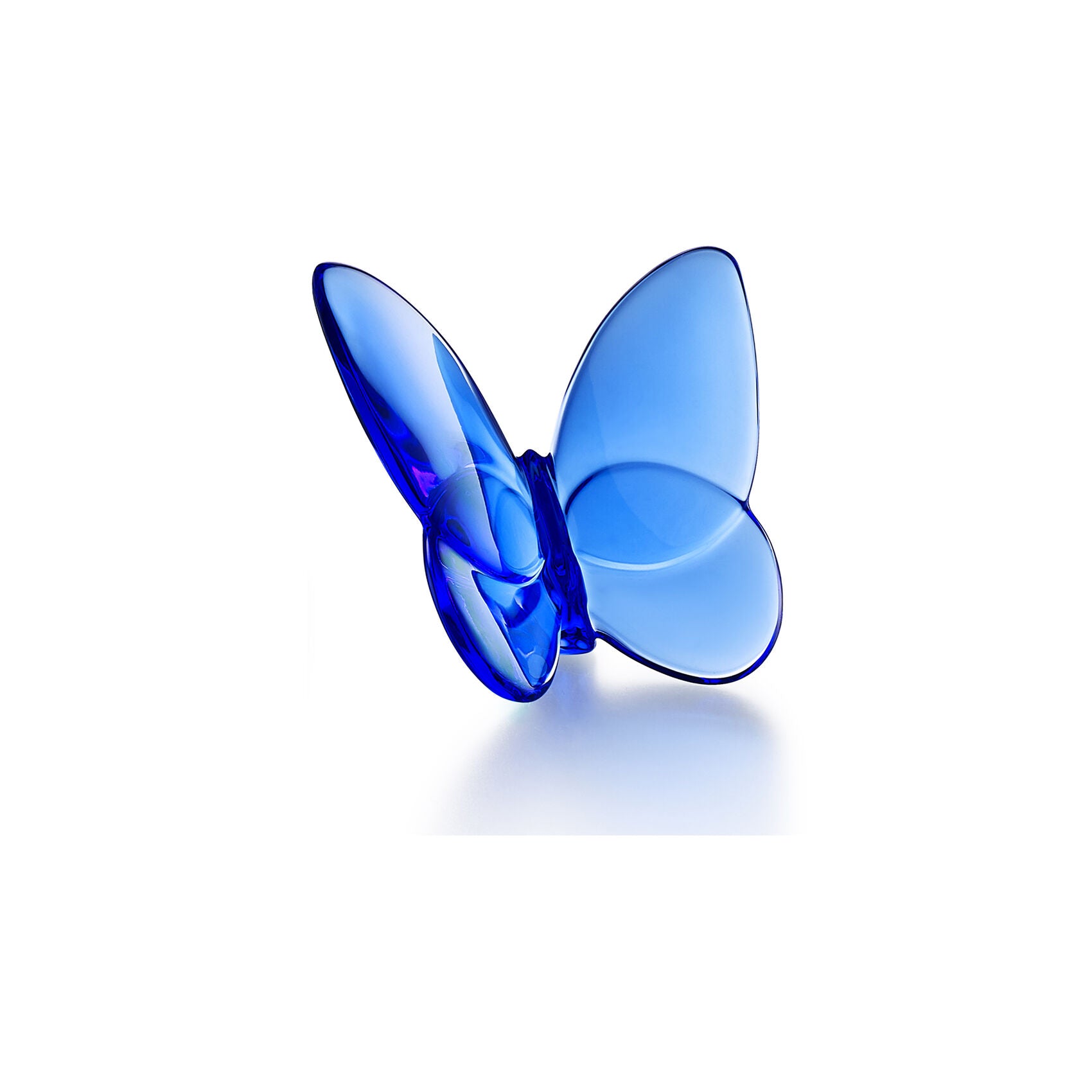 Papillon Lucky Butterfly Blue