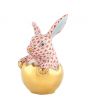 Hatching Bunny