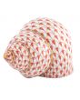 Periwinkle Shell