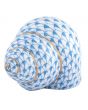 Periwinkle Shell