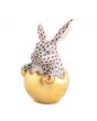 Hatching Bunny