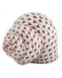 Periwinkle Shell