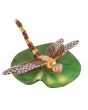 Dragonfly on Lily Pad